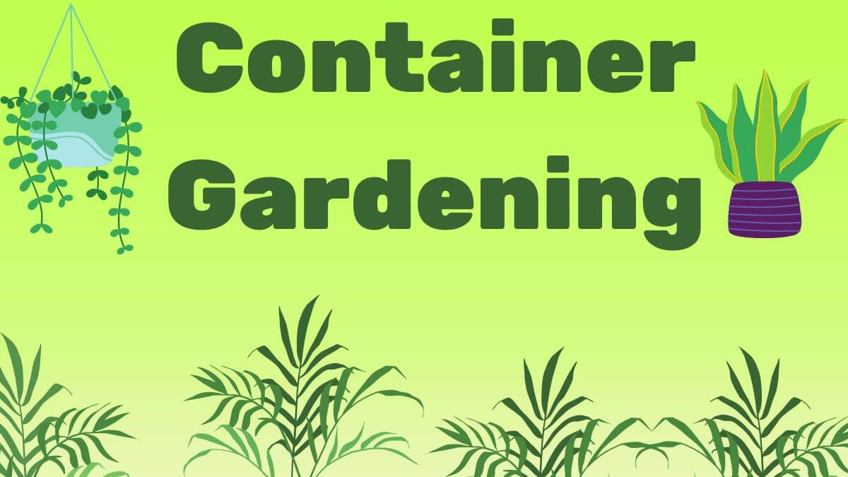 Container-Gardening
