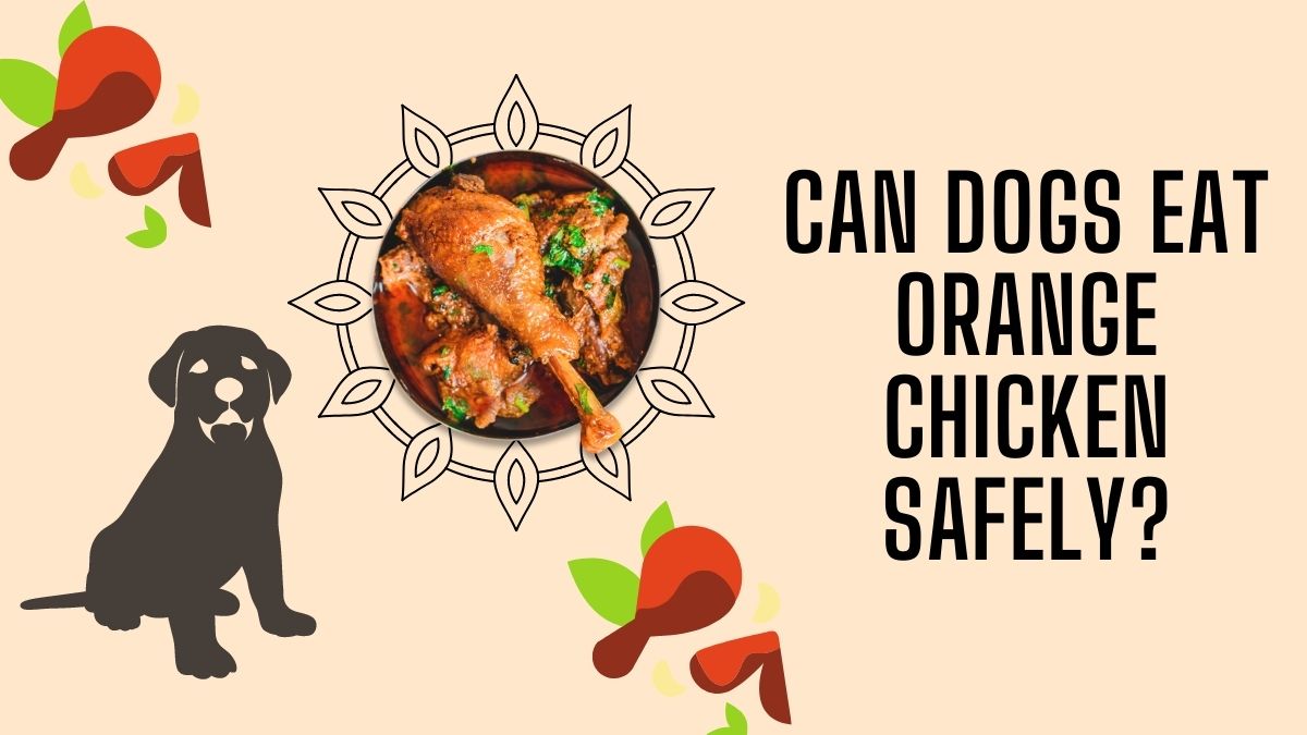Can Dogs Eat Orange Chicken Safely What You Need to Know