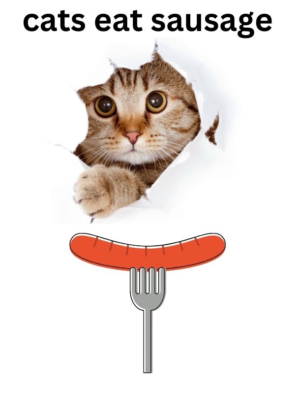 Exploring the Pros and Cons of Feeding Cats Sausage